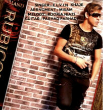 دانلود آهنگ جدید الوین خواجه به نام روزا